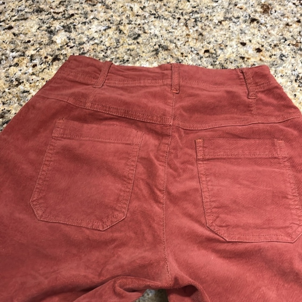 On hold//Free People Burnt Orange Corduroy Pants - Picture 9 of 14